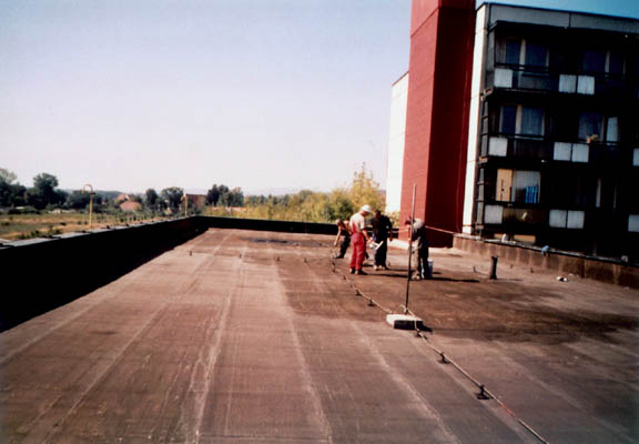 P�vodn� povrch strechy